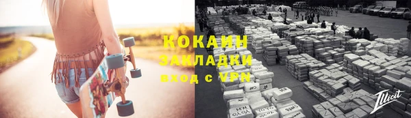 шишки Бородино