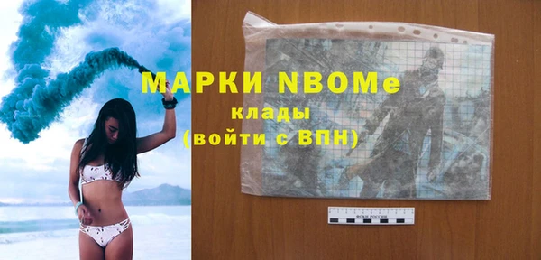 шишки Бородино