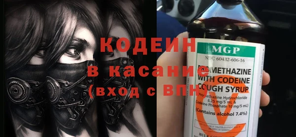шишки Бородино