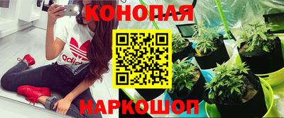 спиды Брянск