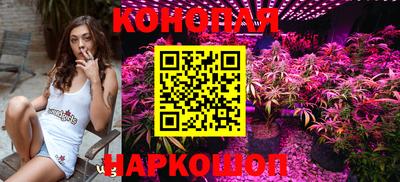 гидра Боровичи