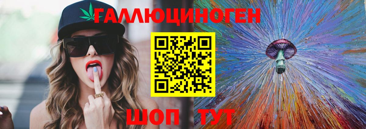 Выборг  Псилоцибиновые грибы прущие грибы  Вход с VPN 